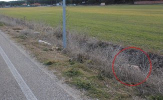 Cuneta en la que apareció el cuerpo de Esther López